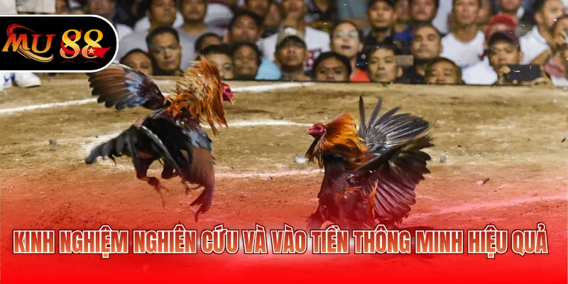Kinh nghiệm nghiên cứu và vào tiền thông minh hiệu quả